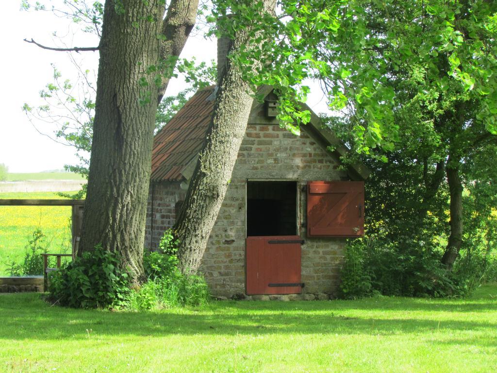 Historischer Davidshof - reetgedecktes Friesenhaus von 1824 Oldenswort Exterior foto
